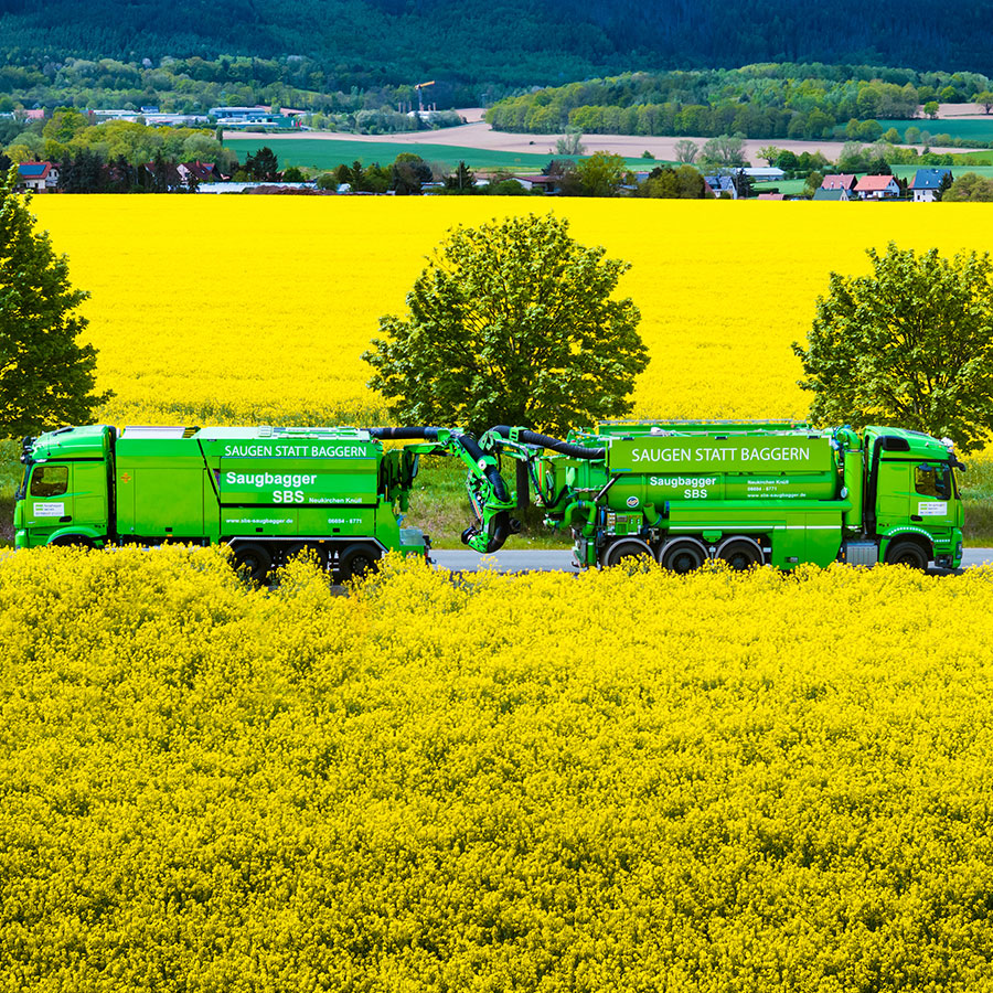 feld